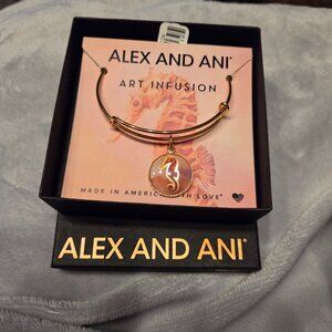 Alex and Ani Art Infusion bracelet